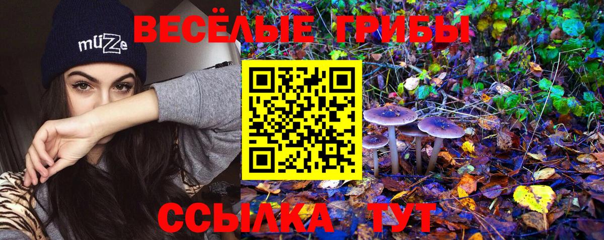 Тихвин  Галлюциногенные грибы ЛСД  Вход с VPN 